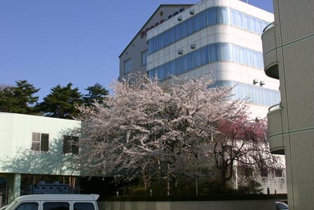 新直井病院　病院外観2