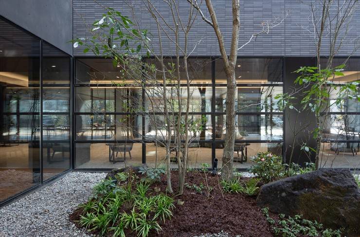 横尾病院　植栽1