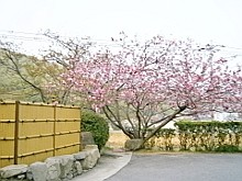 竹原病院　景色