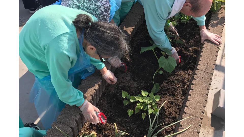 苑田会リハビリテーション病院　リハビリ風景2