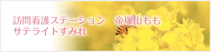 訪問看護ステーション帝塚山もも　サテライトすみれ　施設名