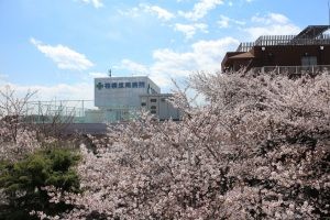 相模原南病院　外観2