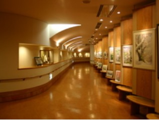 介護老人保健施設ケアタウンたかのす　廊下（ギャラリー）