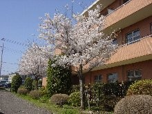 特別養護老人ホーム　牛久さくら園　外観②