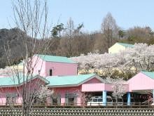 介護老人保健施設　さくらの里　外観②