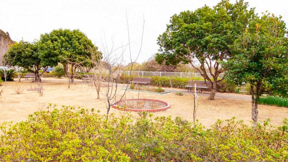 介護老人保健施設　エスポワール大原　庭