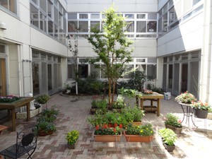 ライフサポート　城北　中庭