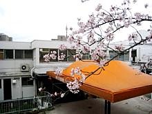 四天王寺悲田院訪問看護ステーション　外観２