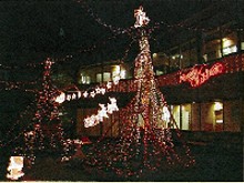 特別養護老人ホーム七里ガ浜ホーム　ツリー