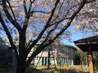 練馬ゆめの木　景色