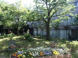 練馬ゆめの木　周辺