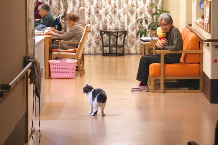 特別養護老人ホーム　ゆるり　職場風景