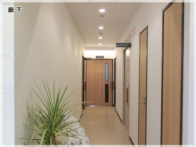 慶真整形外科　廊下