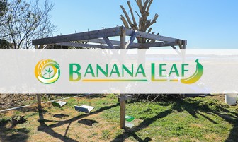 バナナリーフ2