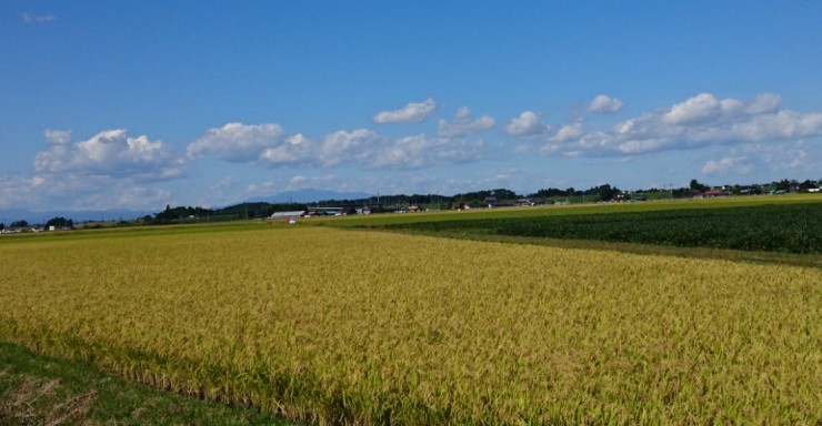 たつみの風訪問看護ステーション　外観