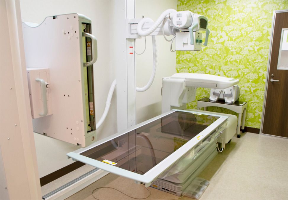 レントゲン画像