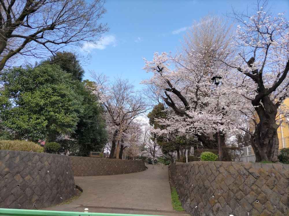 美櫻訪看DSC_0295