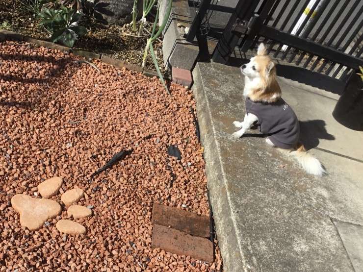 紬ナース　外観