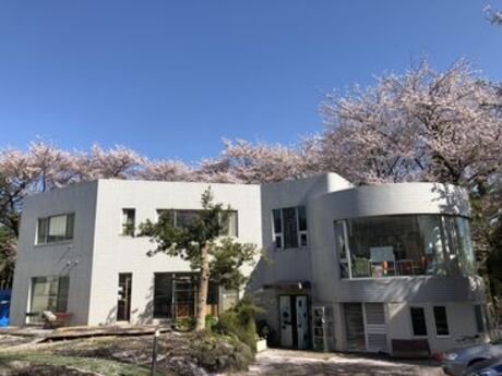 鶴ヶ峰もえぎさくら